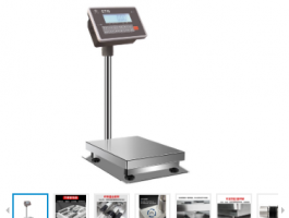 臺灣英展地面立桿秤TCS-W（SGTW)不銹鋼防水計重電子臺秤